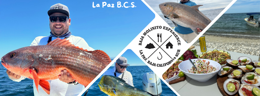 Baja.Molinito.Experien
