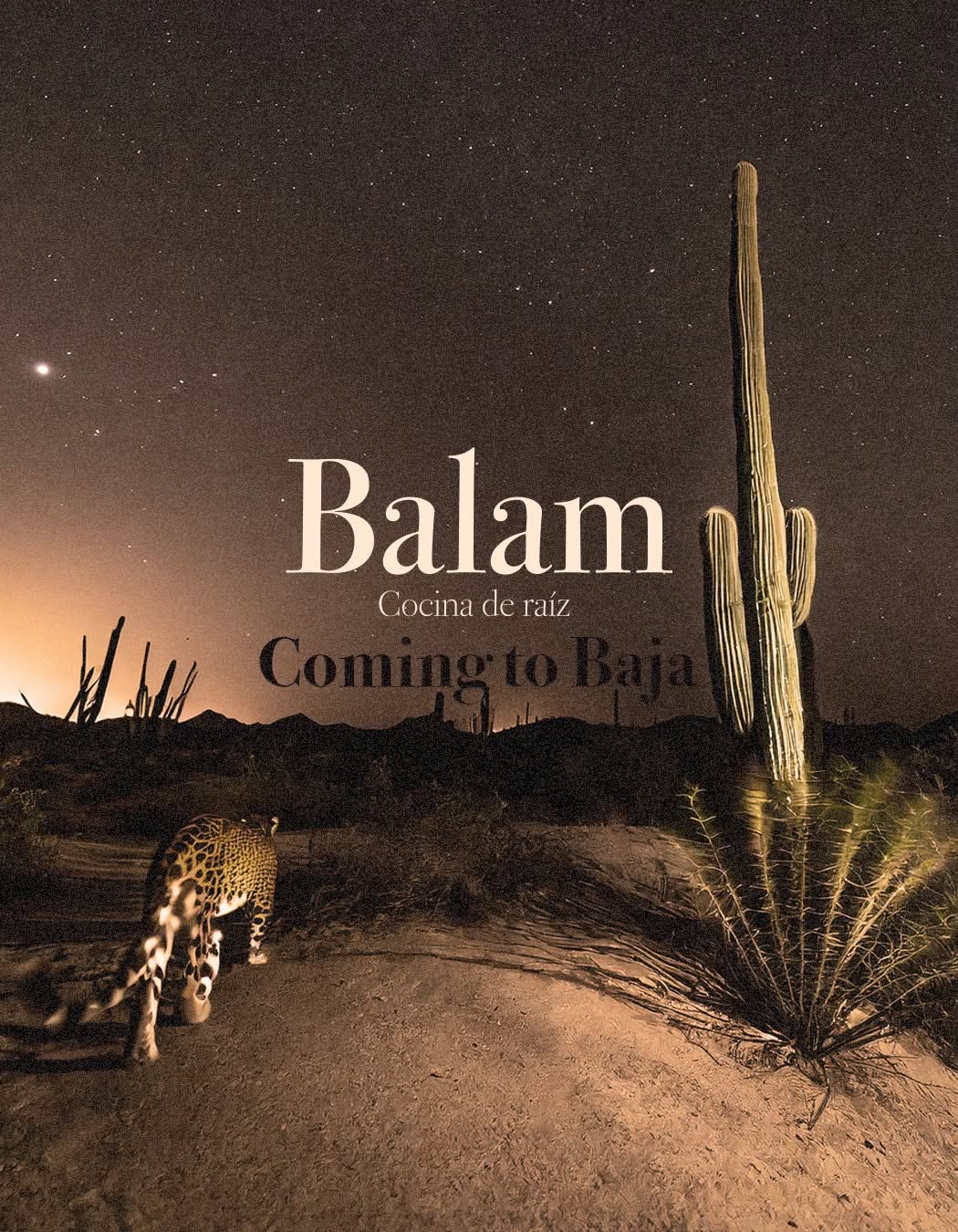Balam Cocina de Raiz
